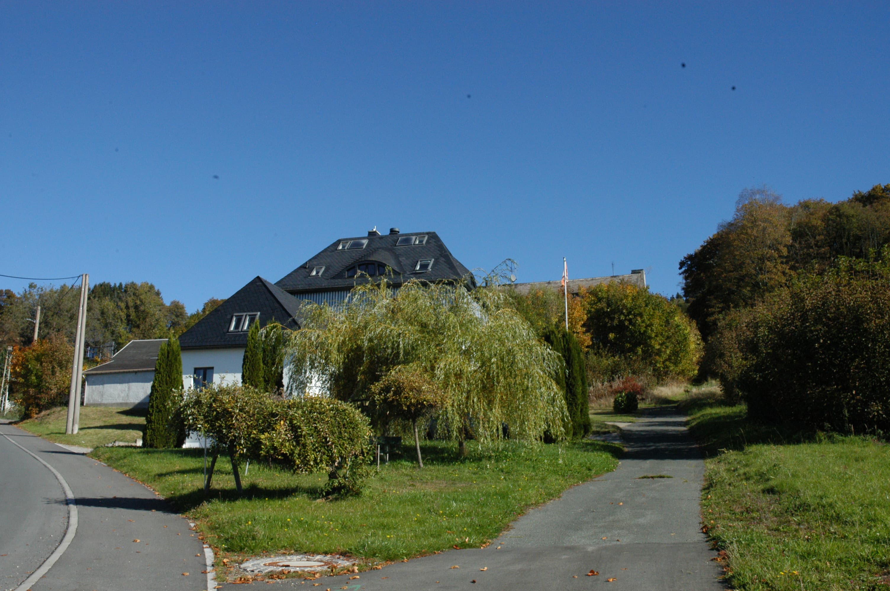 Pension Bergidyll hinter einer Trauerweide mit seitlicher Zufahrt und Straße im Vordergrund
