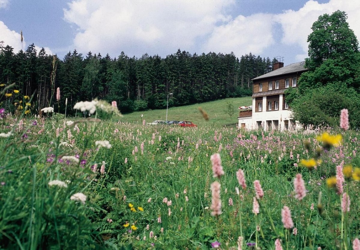 Galerie-Bild 2