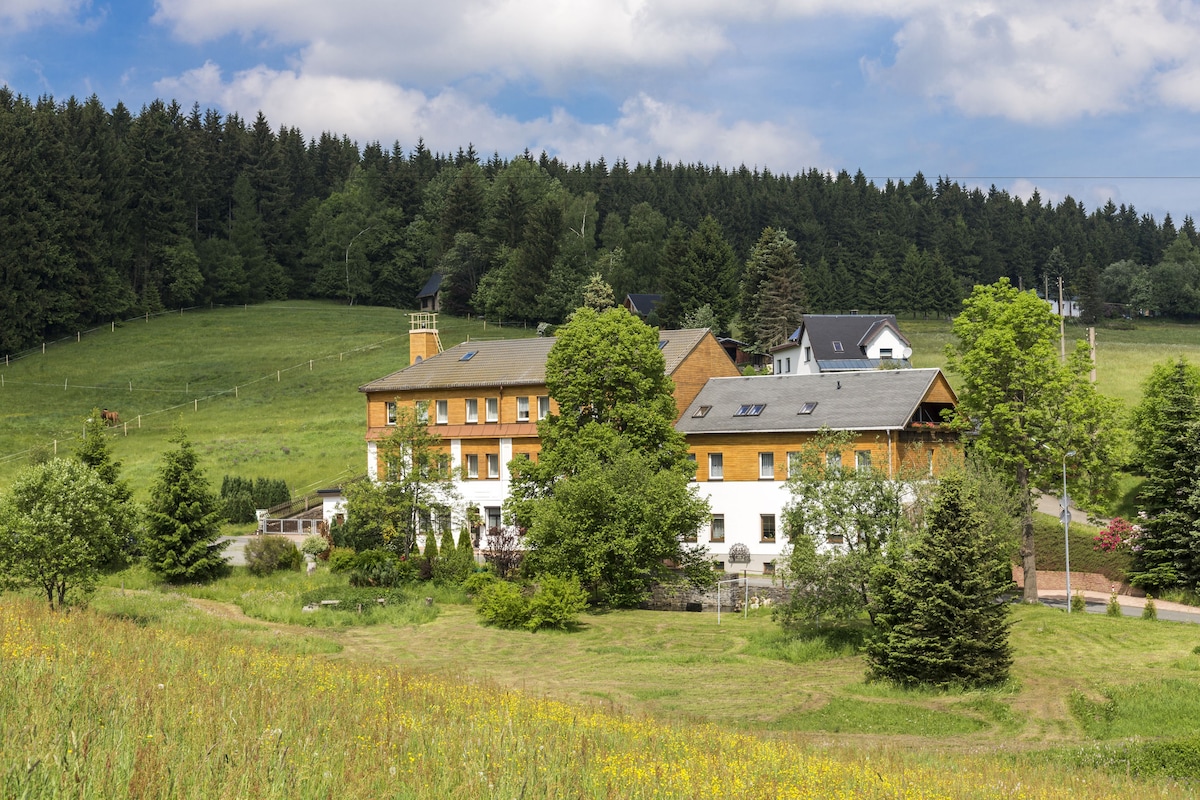 Galerie-Bild 17